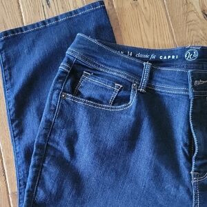 Dressbarn Dark Blue Casual Capri - Size 14W